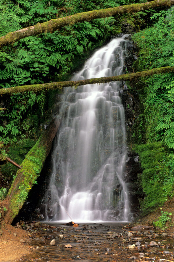 Small Waterfall South-Western Oregon