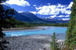 Blue River, Canadian Rockies, Alberta Canada