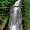 AILS1012 Small Waterfall South-Western Oregon