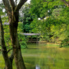AILS1017 Temple Pond Kyoto Japan