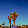 AILS1020 Star Trails Joshua Tree National Park, CA