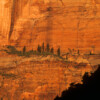 AILS1027 Zion Wall, Zion Nation Park Utah