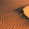 AILS1034 Sand dune Sunset, Sonoran Desert, California